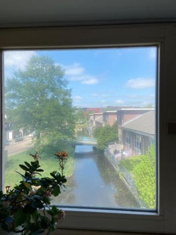 Tinyhouse Woody At The Water Apartment Zaandam Exterior photo
