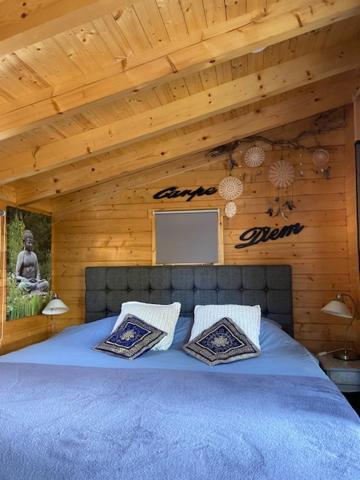 Tinyhouse Woody At The Water Apartment Zaandam Exterior photo