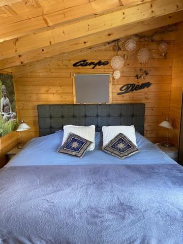 Tinyhouse Woody At The Water Apartment Zaandam Exterior photo
